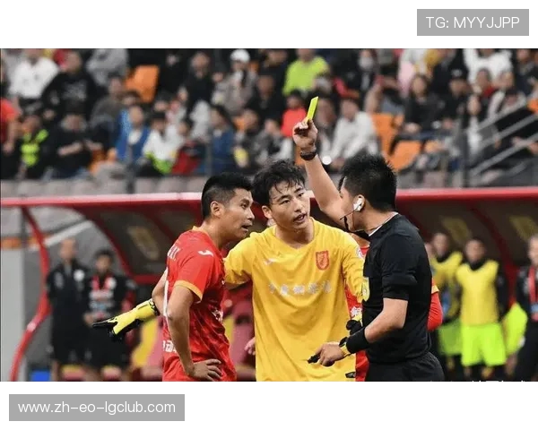 浅析足球暴力打人事件对体育精神与社会秩序的负面影响